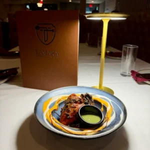 Tamara Modern Indian Cuisine Lake Mary